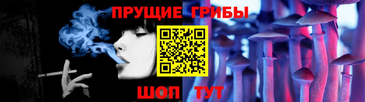 Галлюциногенные грибы MAGIC MUSHROOMS  Вход с VPN  Северобайкальск 